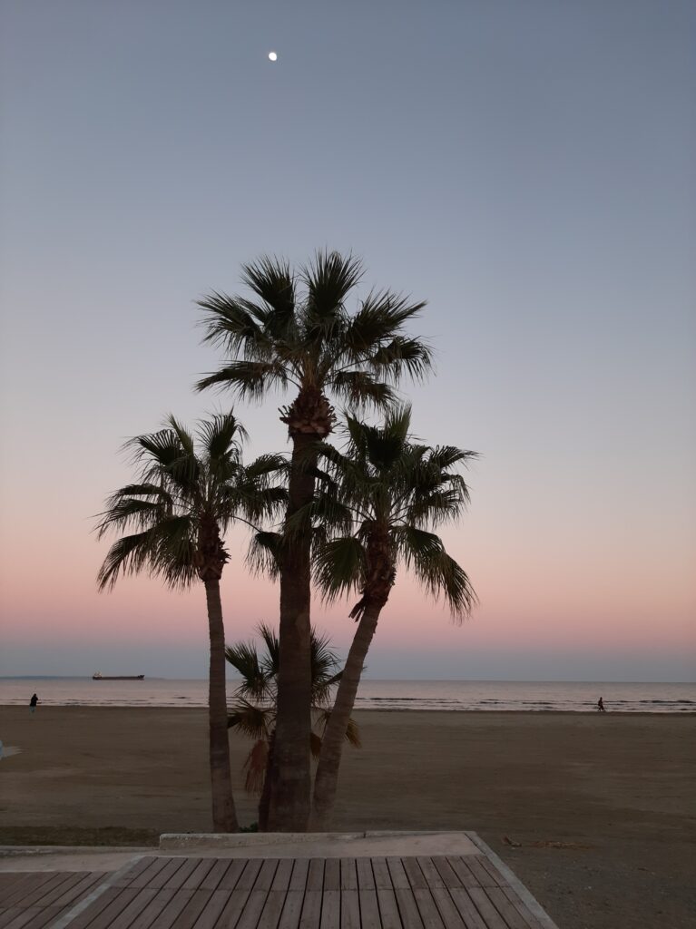 Yoga Retreat in Cyprus 3