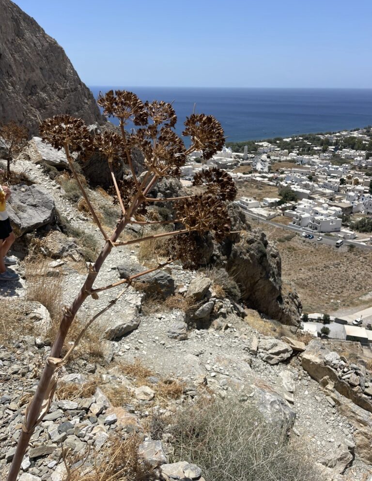 Ancient Thira Private Day Retreat